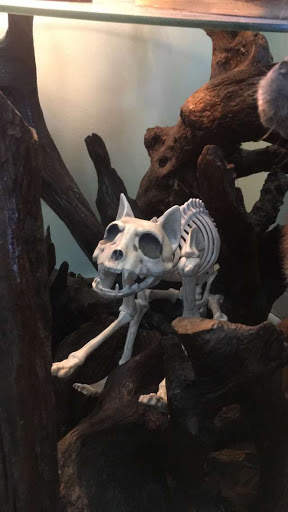 Explore anime neck tattoo ideas, creative tattoo ideas in Nashville, available at Alchemy Nashville