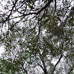 Photo n°2 de l'avis de Maurizio.o fait le 23/07/2021 à 22:06 sur le  Pane e Vino à Peschici