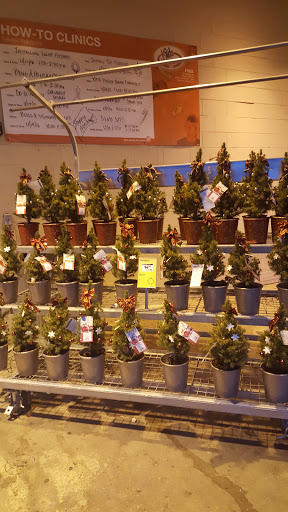 Home Improvement Store «The Home Depot», reviews and photos, 6000 Baltimore National Pike, Catonsville, MD 21228, USA