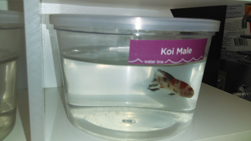 Pet Supply Store «Petco Animal Supplies», reviews and photos, 4012 W 27th Ave, Kennewick, WA 99337, USA