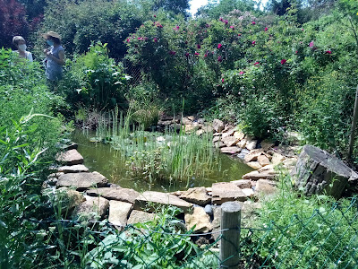le jardin des plantes à couleurs à Essertines-en-Donzy