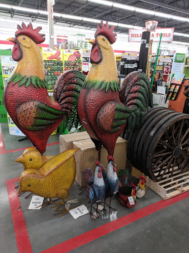 Home Improvement Store «Tractor Supply Co.», reviews and photos, 890 State Rte 415, Osteen, FL 32764, USA