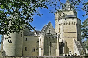 Château de Ternay image