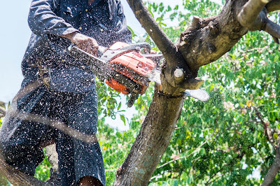 JR PRO (Jardin Rénovation) à Grimaud
