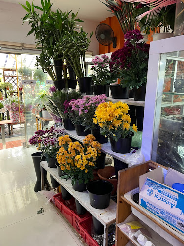 Fairyland Florist - Singapore