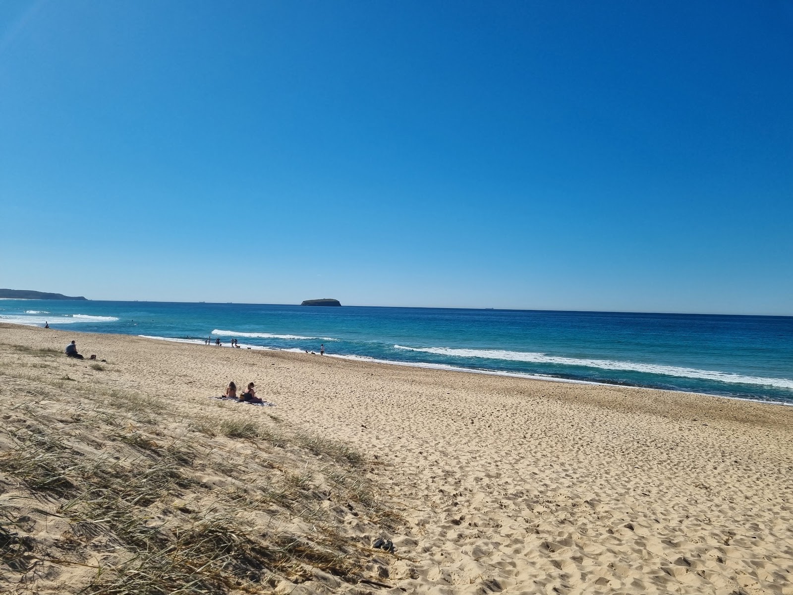 Budgewoi Beach的照片 带有明亮的细沙表面