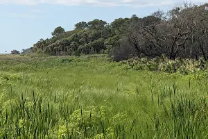 Guana River Wildlife Management Area image