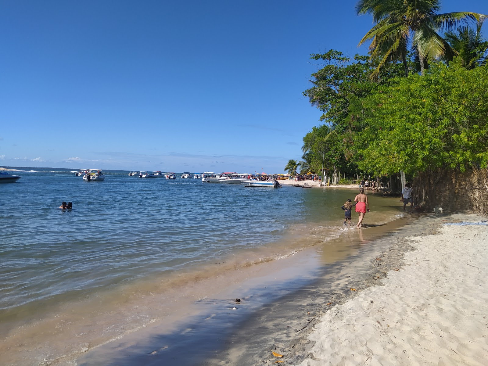 Foto von Praia de Ilha de Boipeba - empfohlen für Familienreisende mit Kindern