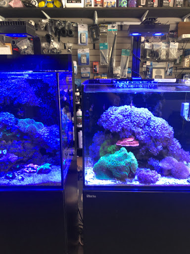 Tropical Fish Store «OceanLife Aquariums», reviews and photos, 5475 West Loop S, Houston, TX 77081, USA