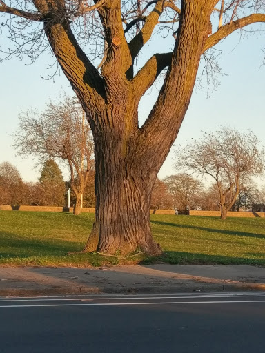 Park «Joe Moakley Park», reviews and photos, 1005 Columbia Road, Boston, MA 02127, USA