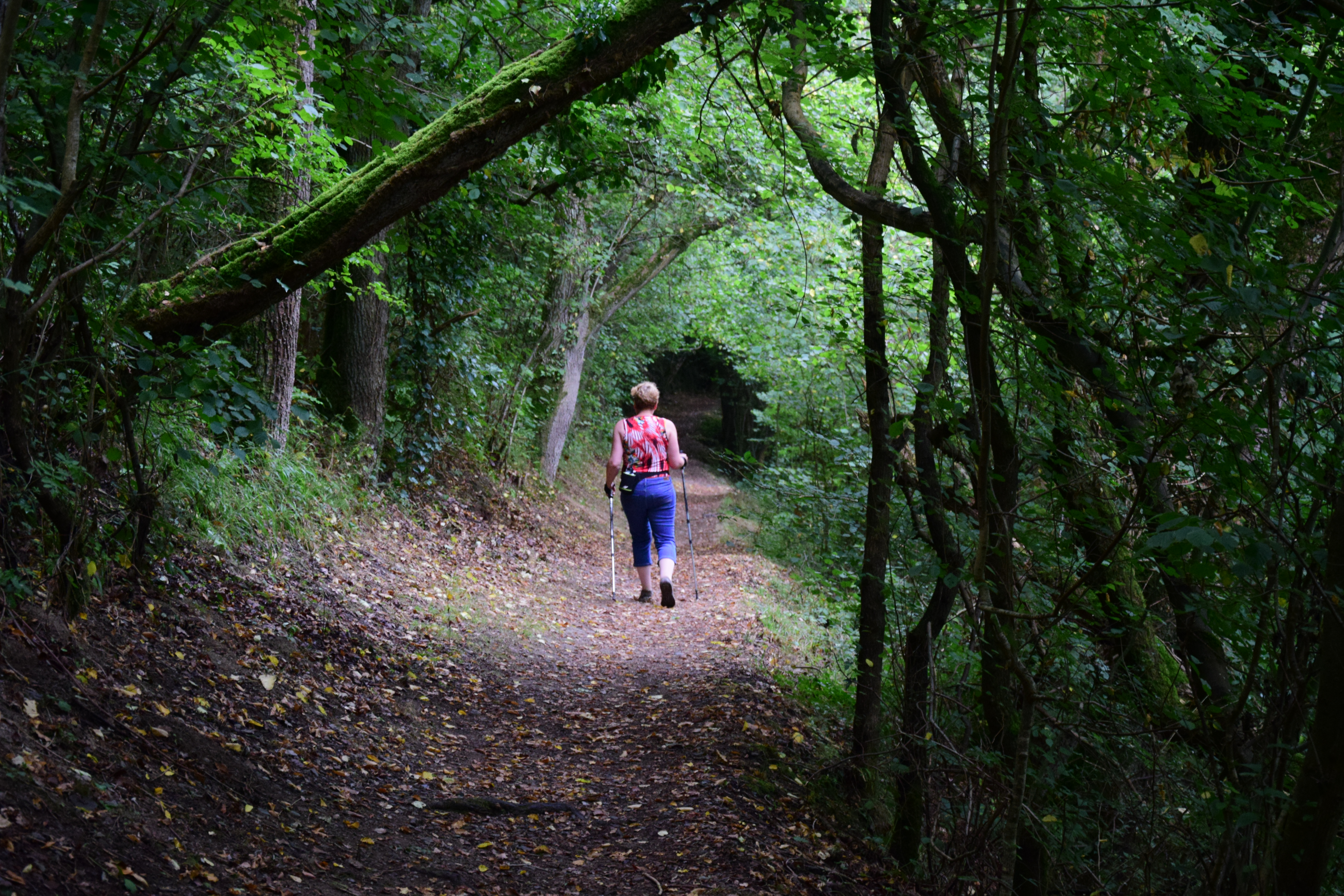 Photo n° 5 de l'avis de Peter.o fait le 22/12/2018 à 15:41