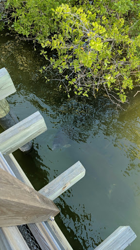 Nature Preserve «Manatee Viewing Center», reviews and photos, 6990 Dickman Rd, Apollo Beach, FL 33572, USA