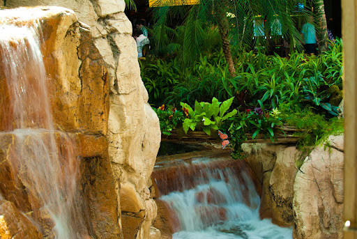 Hotel «The Mirage», reviews and photos, 3400 S Las Vegas Blvd, Las Vegas, NV 89109, USA