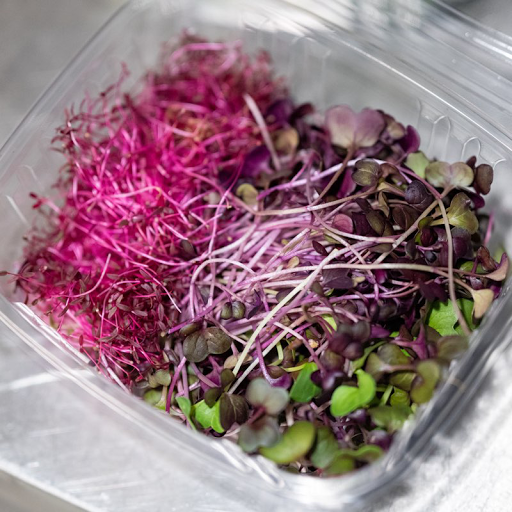 Bar «Paragon», reviews and photos, 2125 Queen Anne Ave N, Seattle, WA 98109, USA