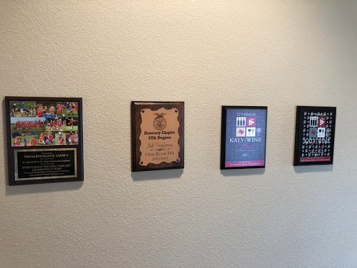 Insurance Agency «Texas Insurance Agency», reviews and photos