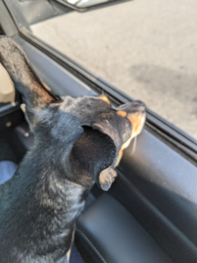 Pet Supply Store «Petco Animal Supplies», reviews and photos, 2005 W 8 Mile Rd, Detroit, MI 48203, USA