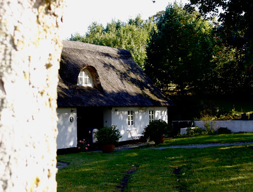 Bundgaards Vinimport/ Molshonning v/ Ole Bundgaard in Knebel, Læsø