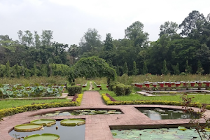 National Botanical Garden, Mirpur, Dhaka image