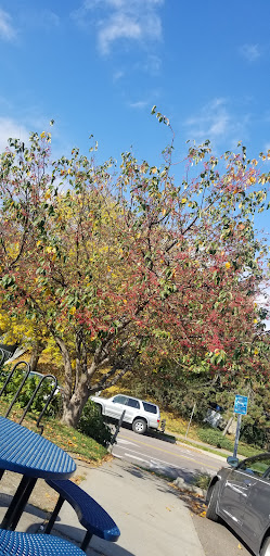 Cafe «Burlington Bay Market & Cafe», reviews and photos, 125 Battery St, Burlington, VT 05401, USA