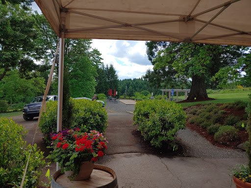 Winery «Apolloni Vineyards», reviews and photos, 14135 NW Timmerman Rd, Forest Grove, OR 97116, USA