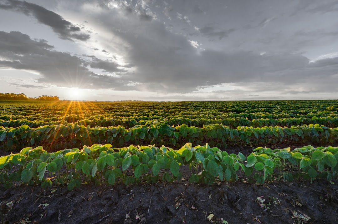 United Farm & Ranch Management (UFARM)-Columbia, MO