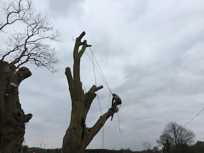 Castleview Tree Services
