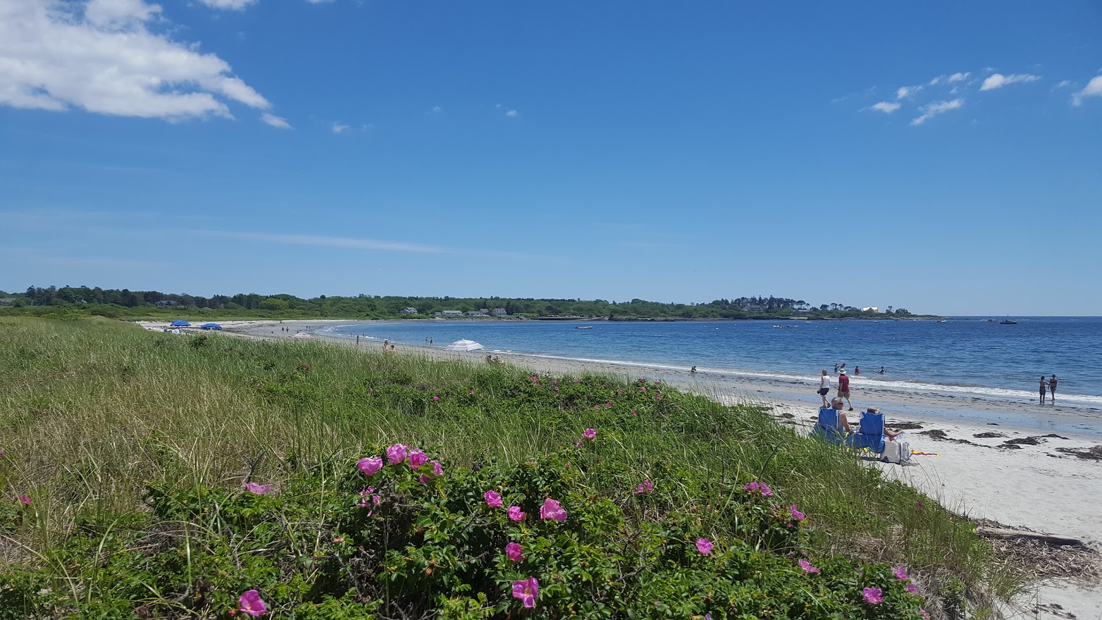 Foto van Crescent beach met hoog niveau van netheid