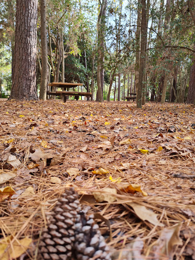 Park «Cy-Champ Park», reviews and photos, 14619 Cutten Rd, Houston, TX 77070, USA