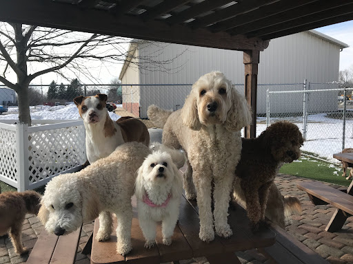 Pet Store «Happy, Clean and Smart», reviews and photos, 5700 W Kilgore Ave, Muncie, IN 47304, USA