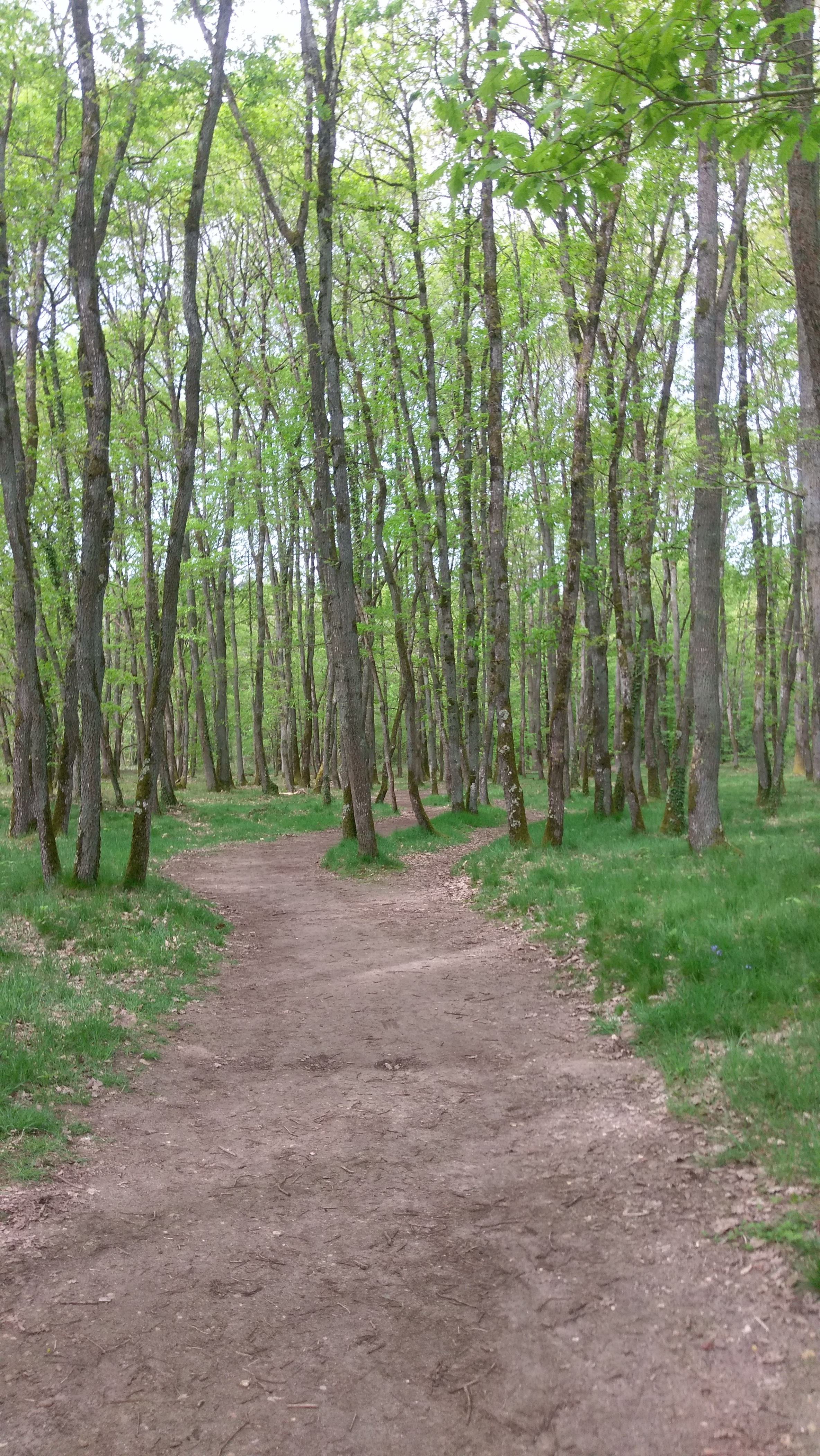 Photo n° 2 de l'avis de Karen.l fait le 22/04/2018 à 10:35