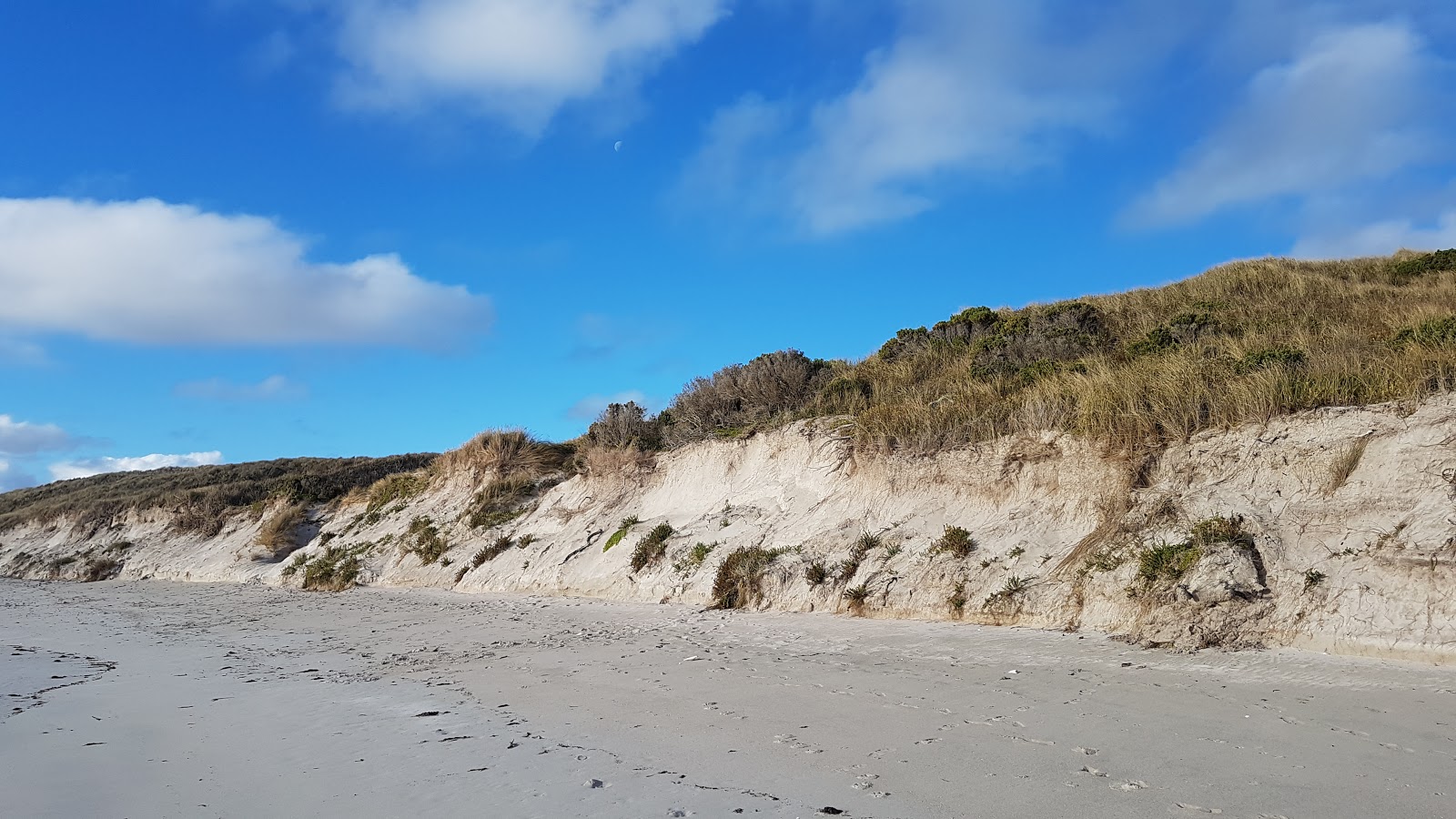 Fotografija Porky Beach z modra čista voda površino