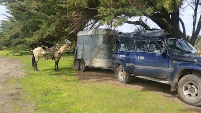 Photos of Princetown Recreation Reserve & Camping