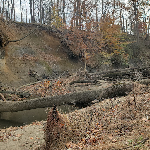 Nature Preserve «Big Brook Preserve», reviews and photos, 95 Hillsdale Rd, Colts Neck, NJ 07722, USA