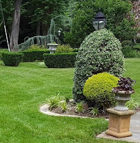 Bob's Affordable Lawn Services - Photo 5 - Car repair in , Memphis