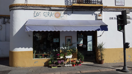Los Girasoles en Córdoba, Córdoba
