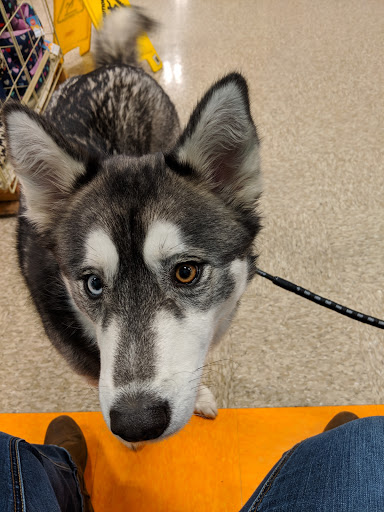 Pet Supply Store «PetSmart», reviews and photos, 316 NE 78th St, Vancouver, WA 98665, USA