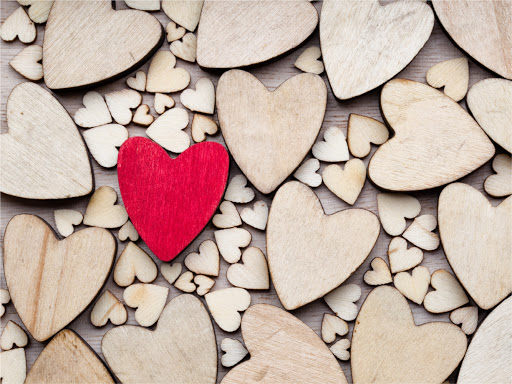 Florist «Rothe Florists», reviews and photos, 7148 Germantown Ave, Philadelphia, PA 19119, USA