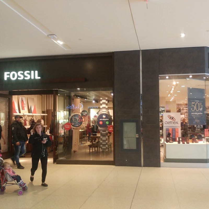 Fossil Store