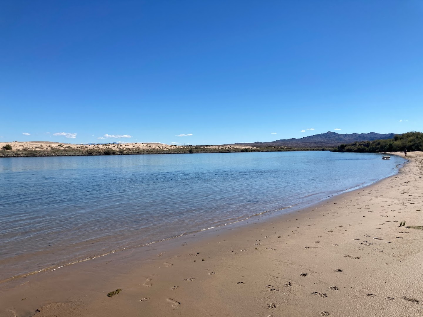 Colorado River Dog Beach