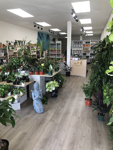 PlanterSam image