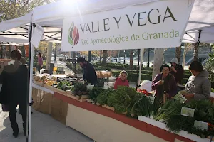 Valle y Vega - Cooperativa Agroecológica de Granada image