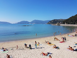Photo de Spiaggia di San Terenzo avec baie spacieuse