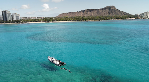 Captain Max Boat Tours