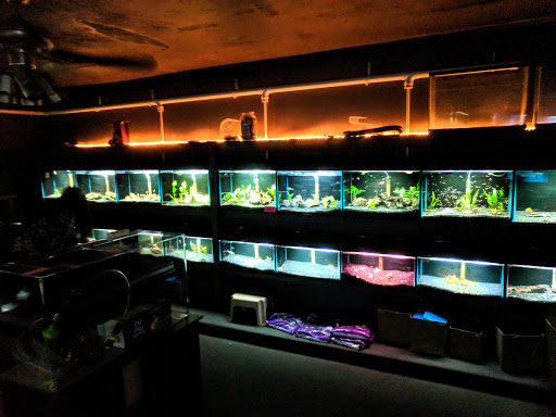 Aquarium «Syracuse Aquarium & Pond Supply», reviews and photos, 4618 North St, Jamesville, NY 13078, USA
