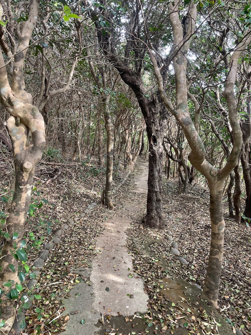 足摺岬遊歩道