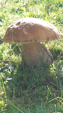 Cascade Window Cleaning - Photo 7 - Car repair in Tumwater, WA, Olympia