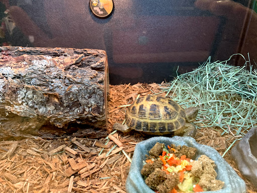 Pet Supply Store «PetSmart», reviews and photos, 400 Universal Dr N, North Haven, CT 06473, USA