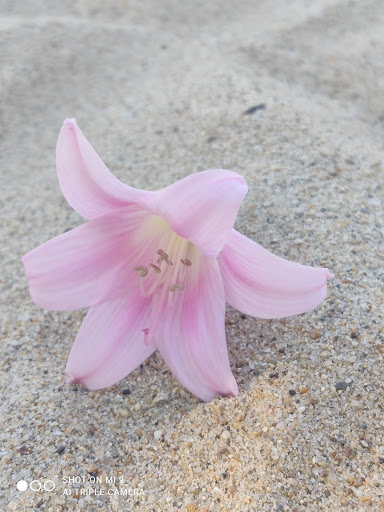 Pet Supply Store «Petco Animal Supplies», reviews and photos, 1301 S California Blvd, Walnut Creek, CA 94596, USA