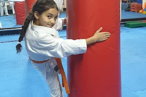 Okinawa Karate Club, Eljadida image