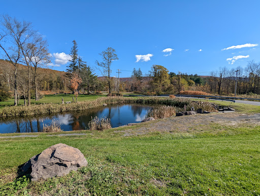 Tourist Attraction «Emerson Kaleidoscope», reviews and photos, 5340 NY-28, Mt Tremper, NY 12457, USA